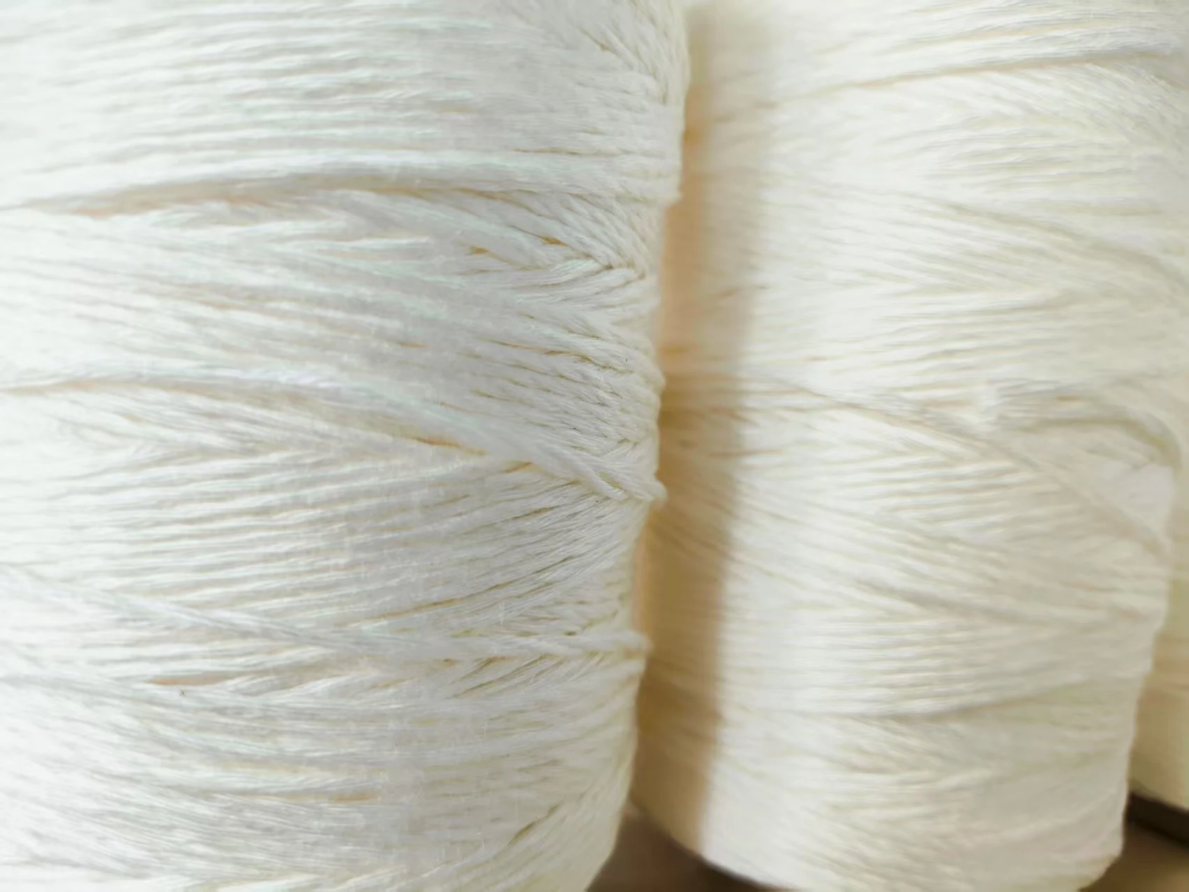 100M Corde biodegradabili compostabili appese verdure frutta serra cetrioli pomodori tralicci piselli ramo cravatte vite