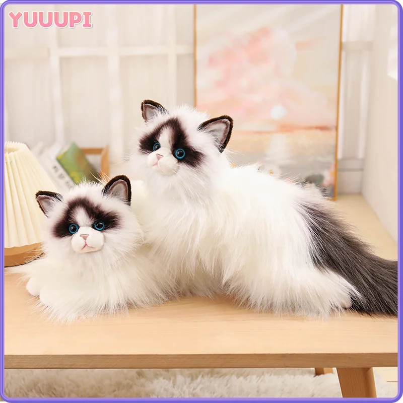 Cute Simulation Ragdoll Cat Plush Toy Soft Stuffed Kitten Realist Animals Home Decor Accompany Sleep Toy for Kids Birthday Gifts