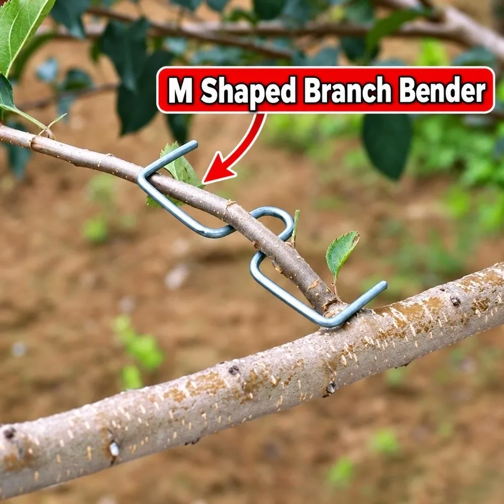 10Pcs Multiple Sizes Branch Bender Reusable M Shaped Fruit Tree Branch Training Clip Strong Fixator Tree Branch Spreader