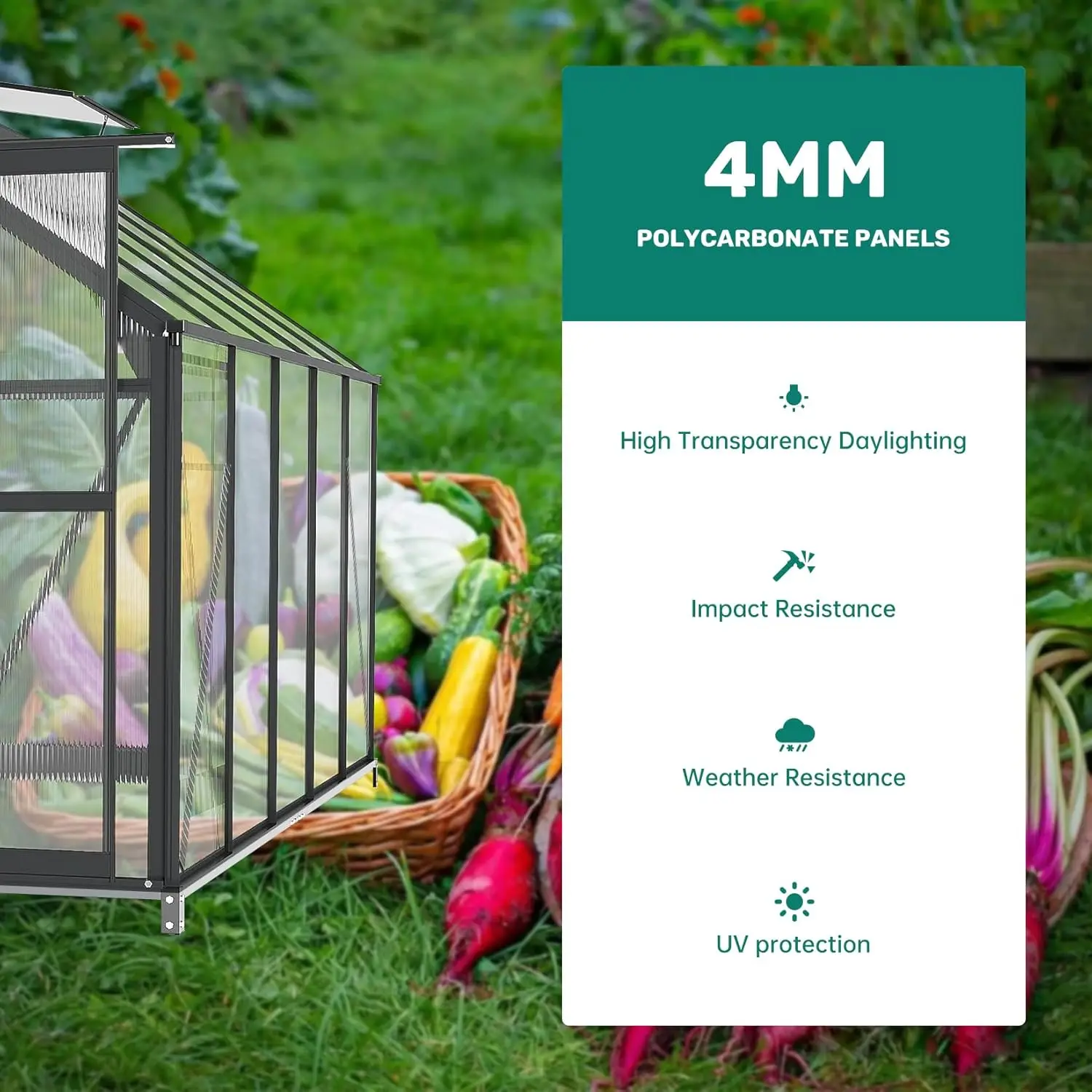 6X10 Ft Outdoor Greenhouse, Polycarbonate Green Houses For Outside, Heavy Duty Large Walk In Green House For Plants With