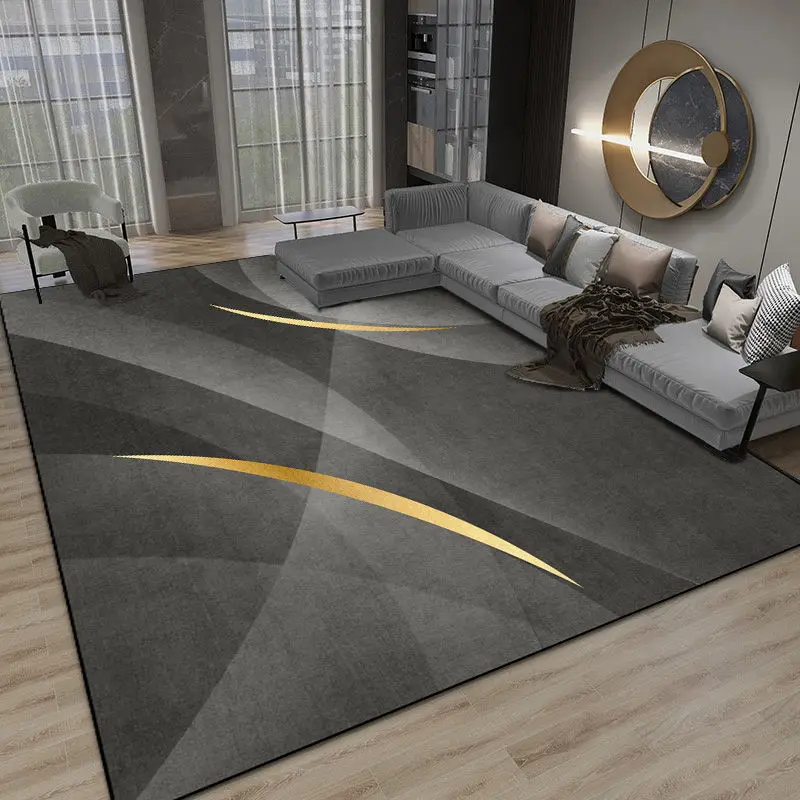 

Light Luxury Modern Decor Carpets for Living Room Grey Lounge Large Area Rugs Decoration Home Bedroom Bedside Floor Mat Washable