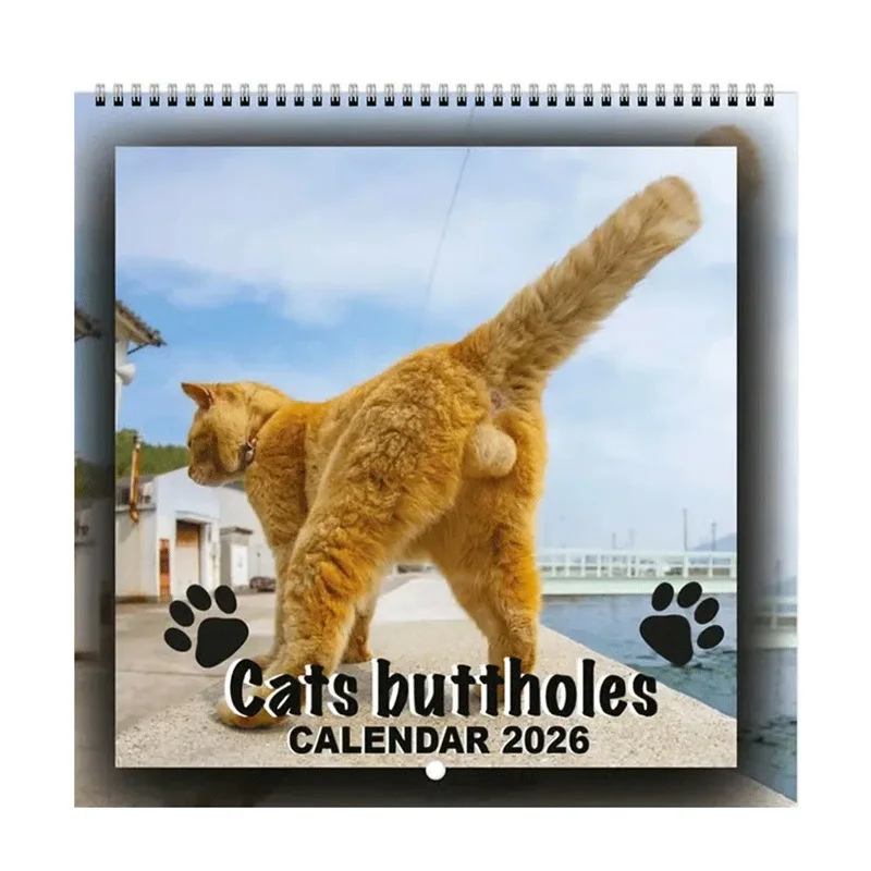 Tischkalender mit Katzen-Po 2026, lustiger Countdown-Katzen-Po-Kalender