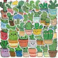 50PCS
