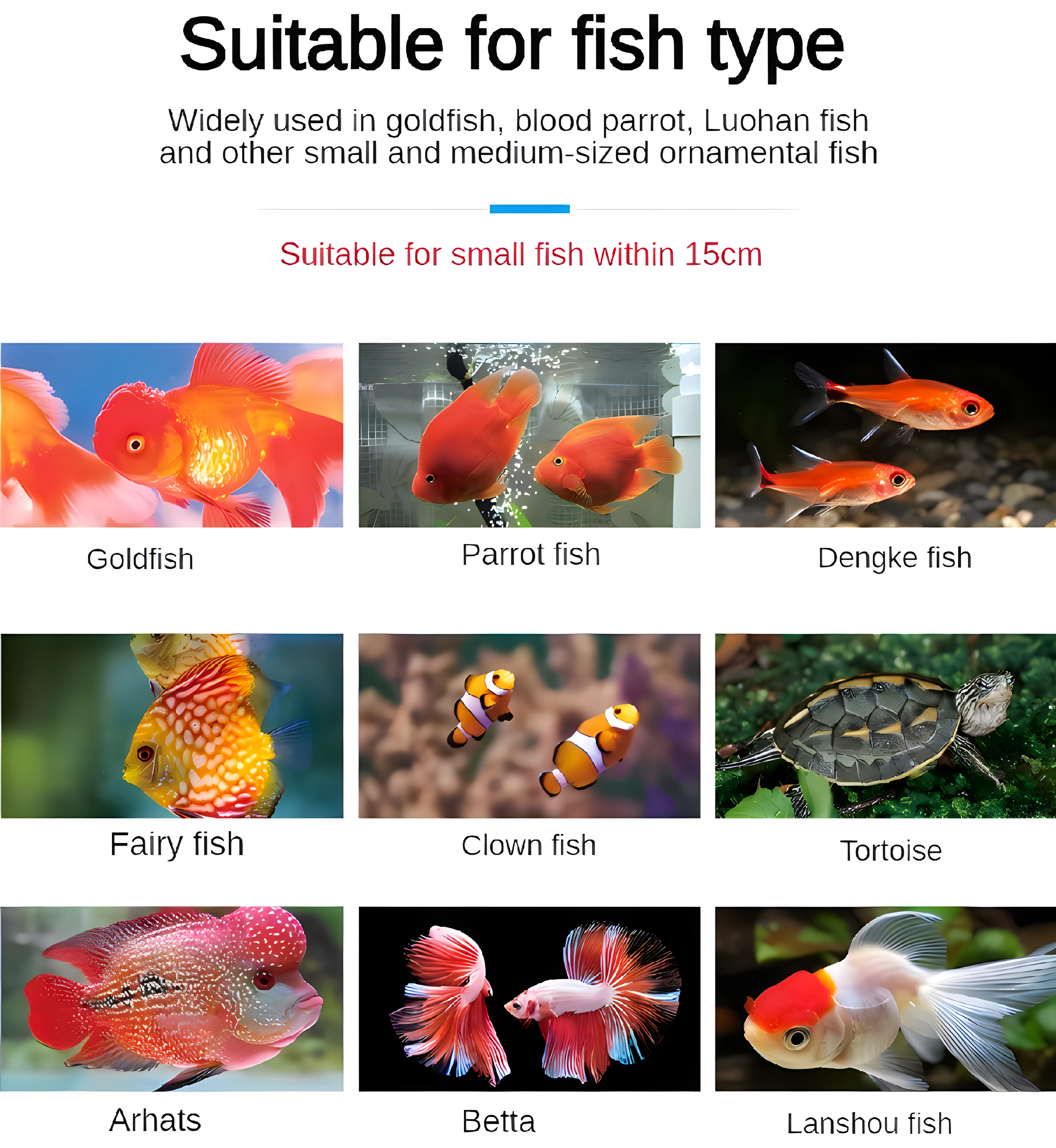 Fish feeder automatic feeder fish timing and quantitative feeder small ornamental shrimp goldfish powder small particle feeding