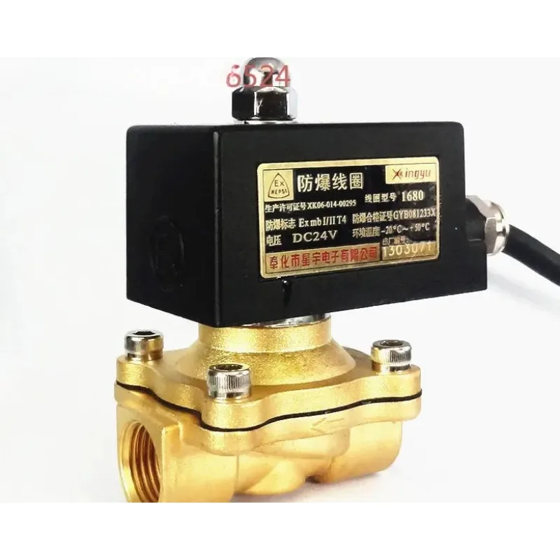 Multi-purpose fluid valve 2W160-15E/UW-15/DN15 explosion-proof solenoid valve