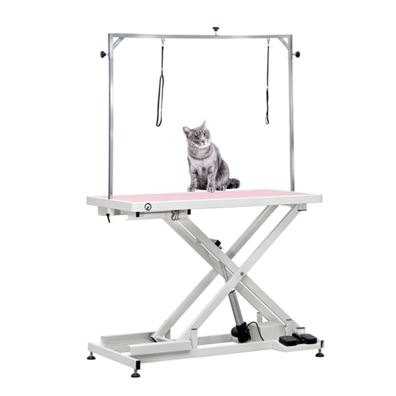 Professional Electric Adjustable 49-inch Veterinary Pet Grooming Table