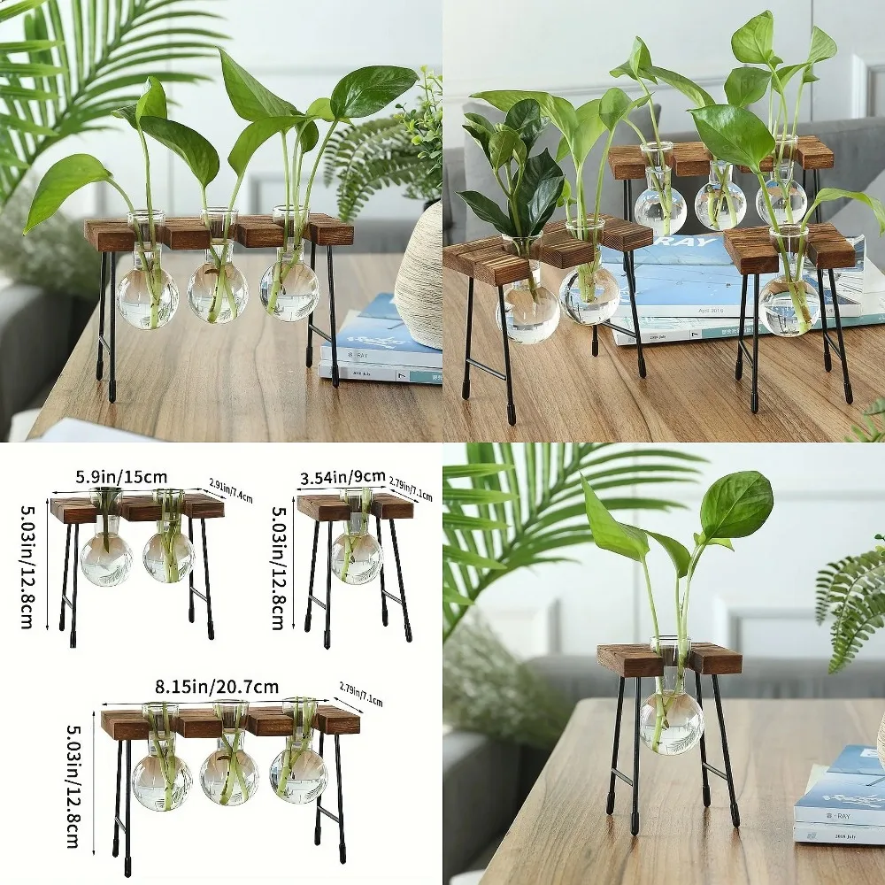 Wooden Frame Hydroponic Planter with Glass Bulb - Indoor Bonsai Plant Vase for Home Tabletop Office Desk Modern Decor