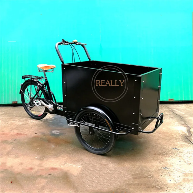 Cargo Electric Bike Dog Care Cargo Bike 3 Wheel Family Adult Bicycle Tricycle Child Seat Bike