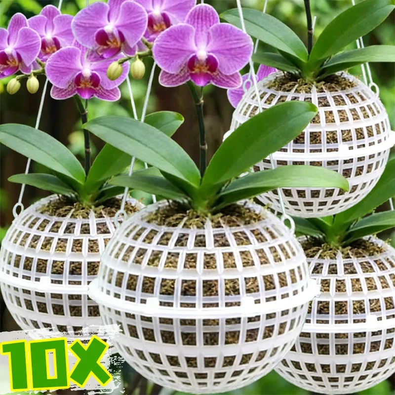 80/100/120/150mm bola suspensa enchimento biológico flutuante gaiola bolas lagoa tratamento de água jardim mini cesta suspensa branca