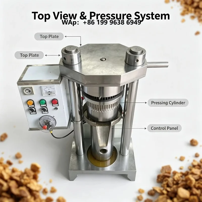 Small Vertical Hydraulic Oil Press Equipment For Processing Walnut Almond Sesame Seeds
