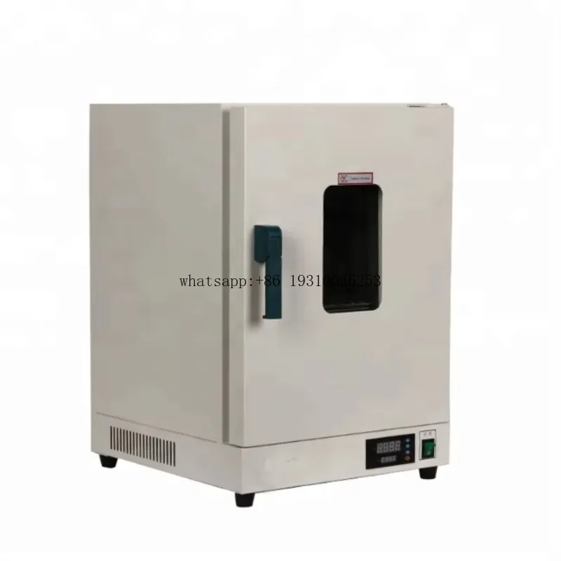

10 Years Manufacturer WALTER Electric Blast Drying Oven For Laboratory Heat Treatment