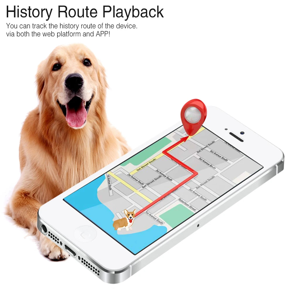 4G Animal GPS Tracker Cow Camel Sheep Dog GPS Locator Long Standby Waterproof Livestock Management Free APP