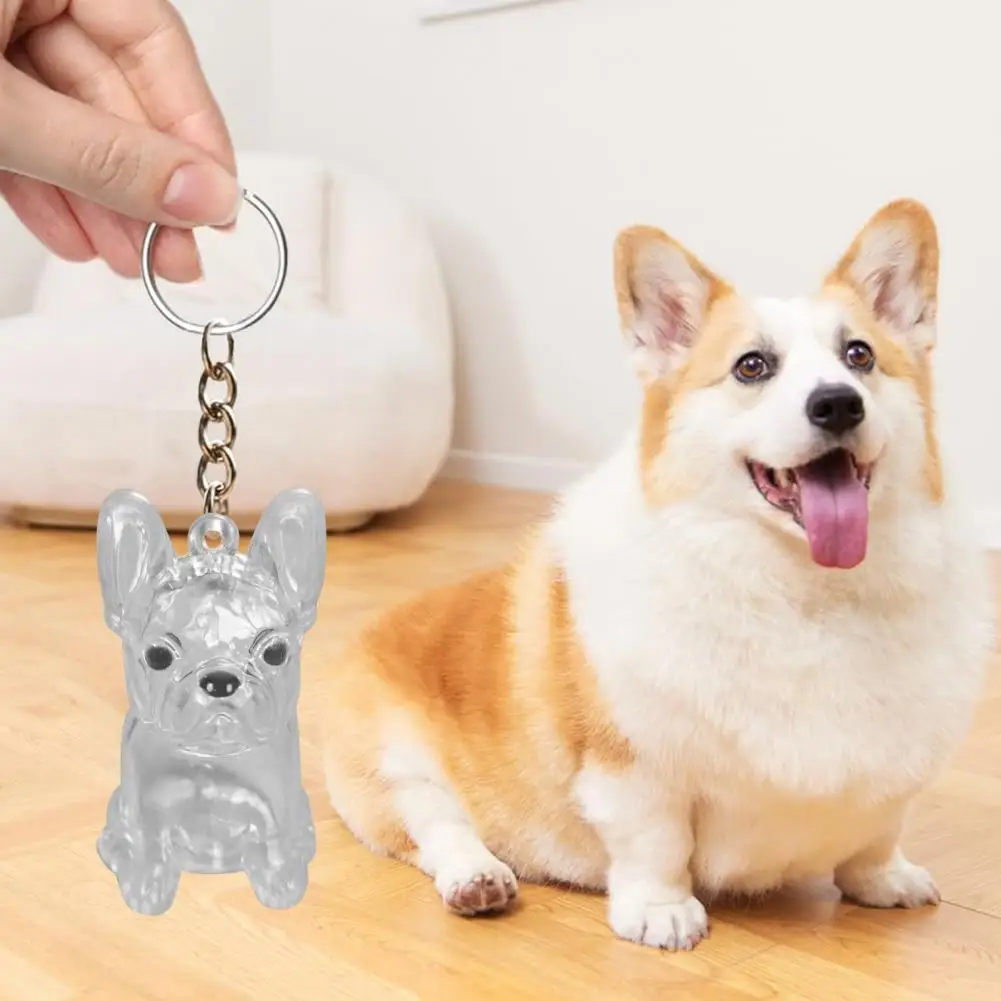 Fashionable Pet Hair Accessory Dog Hair Collector Keychain Charm Transparent Pet Fur Keepsake Capsule Storage Box with for Pet