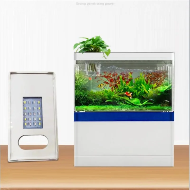 

Mini Fashionable Fish Home with Rounded Corners Small Fish tank Aquarium