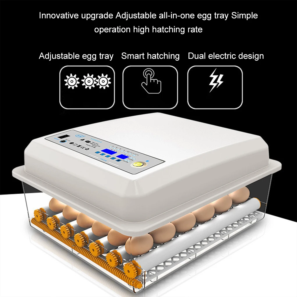 Advanced Egg Incubator With Intelligent Temperature Control Automatic Incubator Egg Incubators