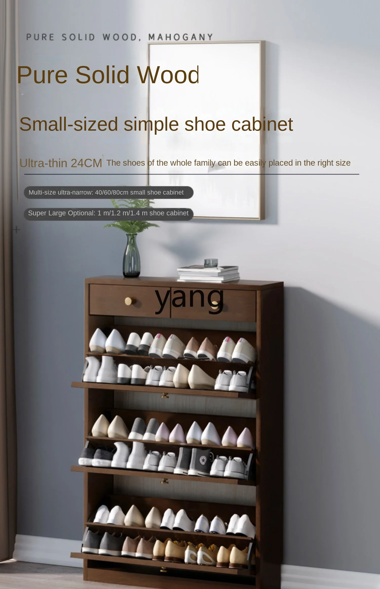 Yhl Tilting Shoe Cabinet Solid Wood Narrow Household Small Household Style Entrance Large Capacity Entrance Cabinet