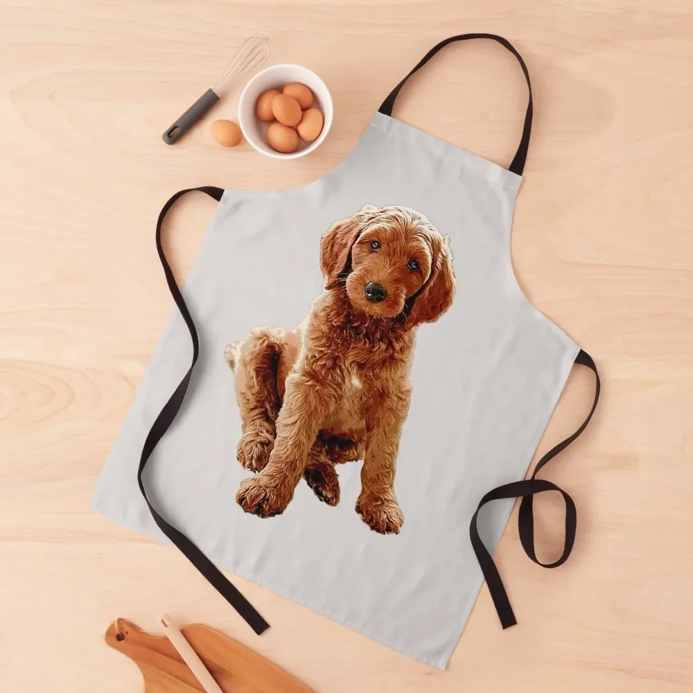 Labradoodle Puppy Doodle Goldendoodle Dog Apron professional hairdressing Household Items Apron