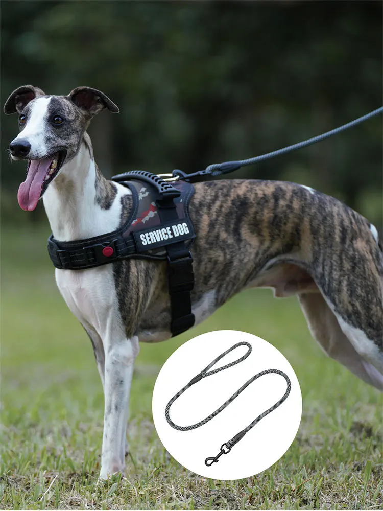 Haustier-Hunde-Boutique-Leinen für kleine, mittelgroße und große Hunde, einfaches graues Mesh-Muster, Nylonseil, geeignetes Hundehalsband und Geschirr – Detail 6