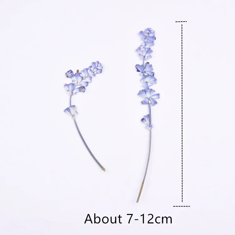 16pcs/lot,Natural Pressed flowers with stem,Eternal real rose flowers for DIY Wedding invitations Craft Photo Bookmark Gift Card image 4