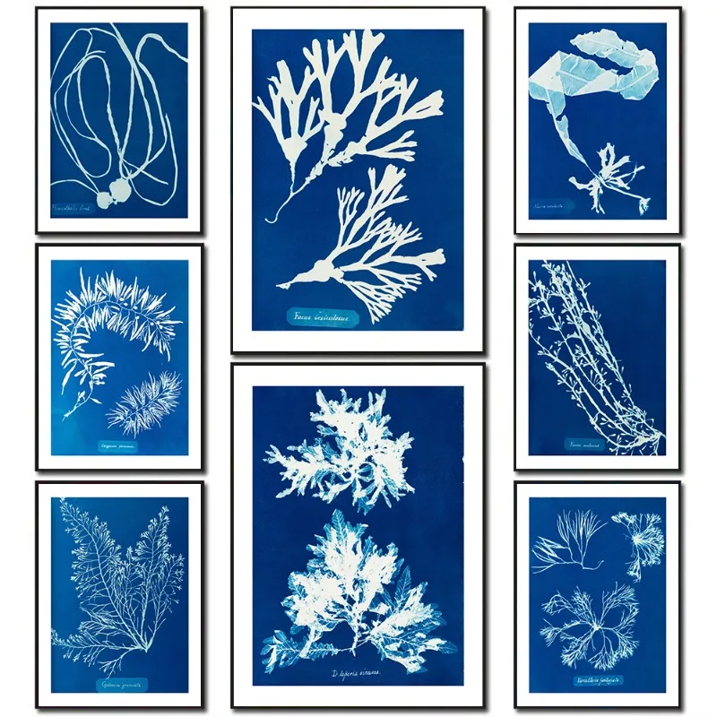 Vintage Botanical Photographic Art Nature Lovers Canvas Poster Algae Cyanotype Sargassum Illustration Picture Wall Home Decor