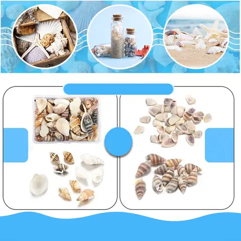 6 best sales shells - №3