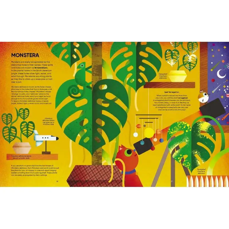 Philip GiordanoA Jungle In Your Living Room Michael Holland Flying Eye Books 9781838748630 Book