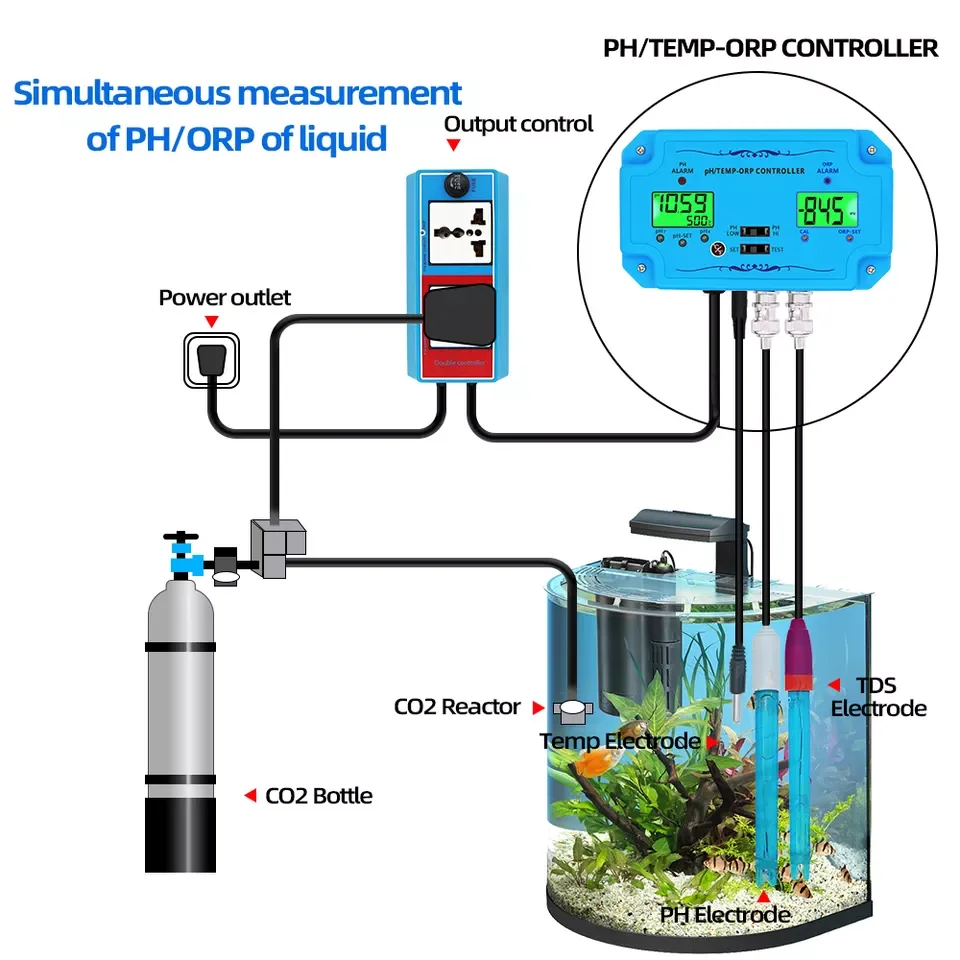 Aquarium & Spa Pool…