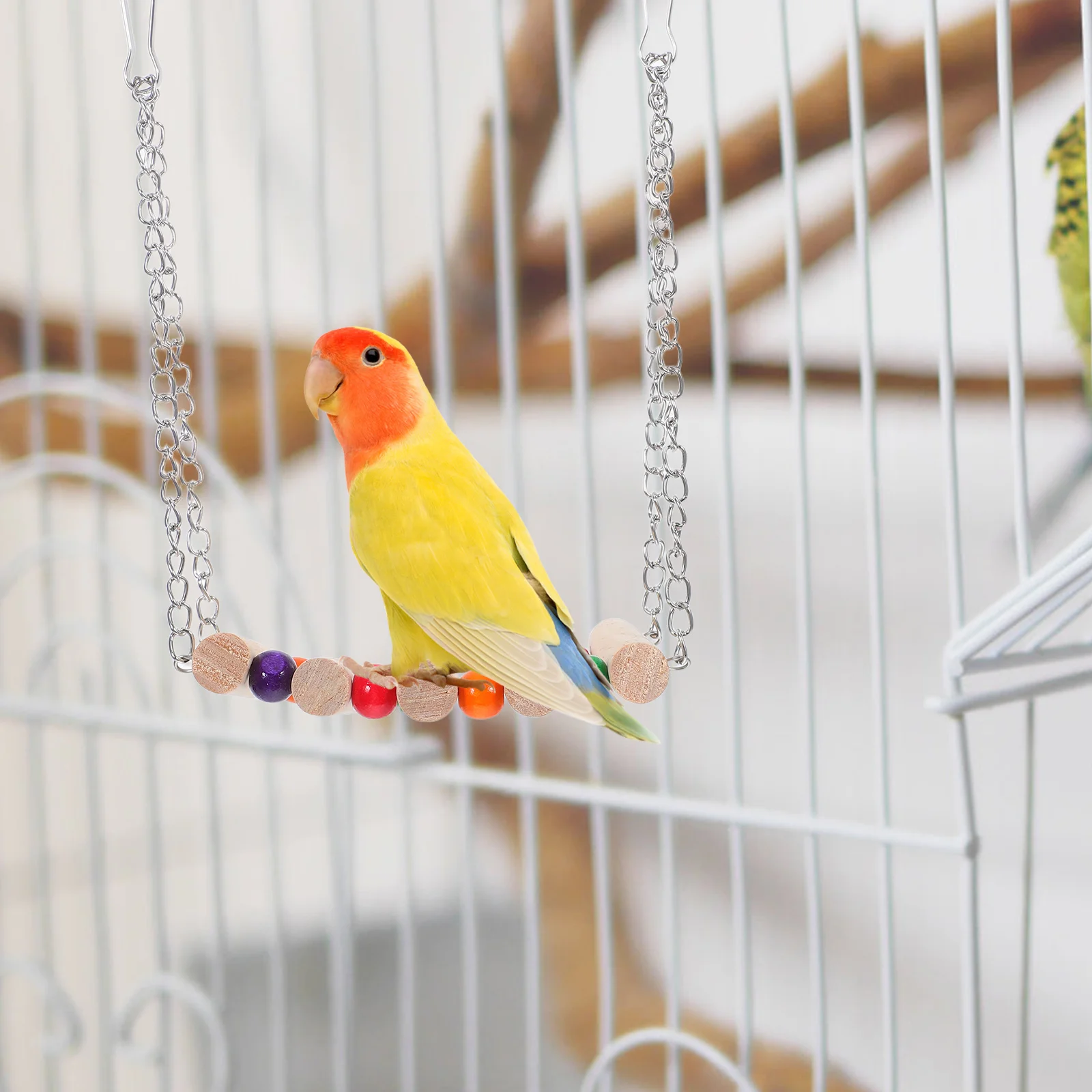 

3 Pcs Bird Swing Toy Cockatiel Toys Long Tail Parakeet Wood Birds Parrot Enrichment