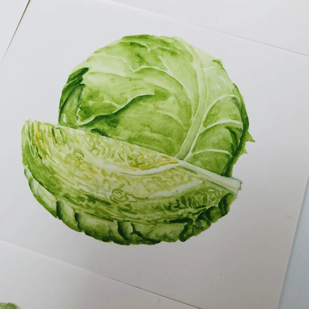 بطاقات الإدراك للخضروات، مواد لغة مونتيسوري، ألعاب تعلم الأطفال الصغار، لعبة تعليمية في مرحلة الطفولة المبكرة