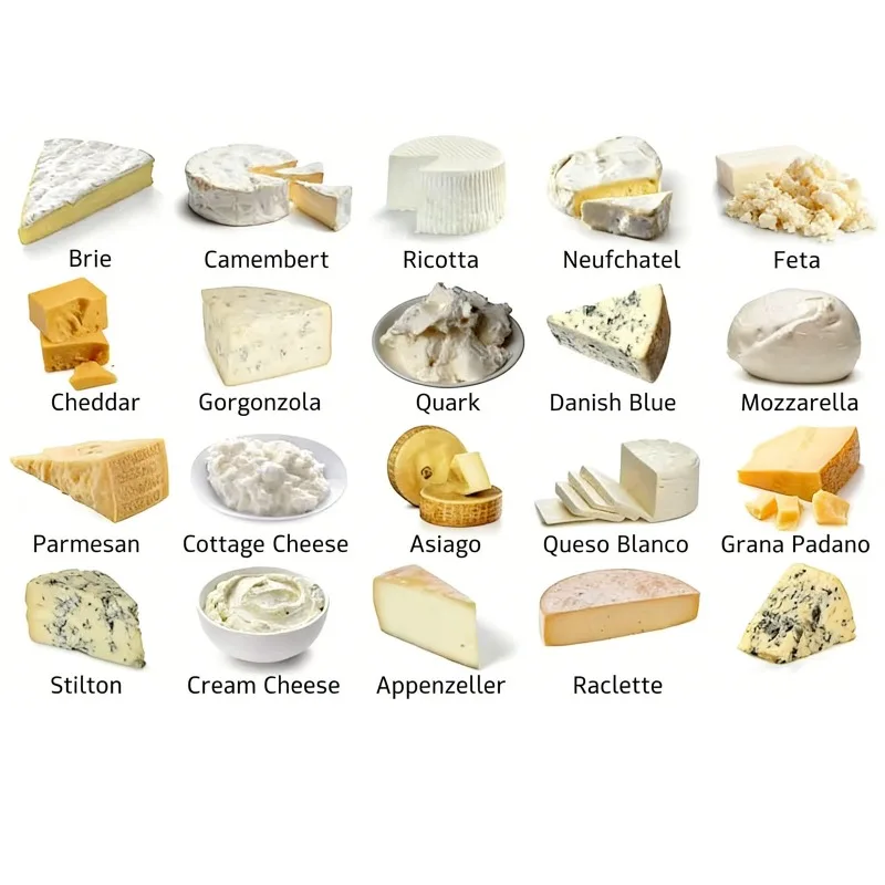 Cheese Making Tank Dairy Cheese Vat Milk Curd Fermentation Processing Equipment Commercial Customized view 5