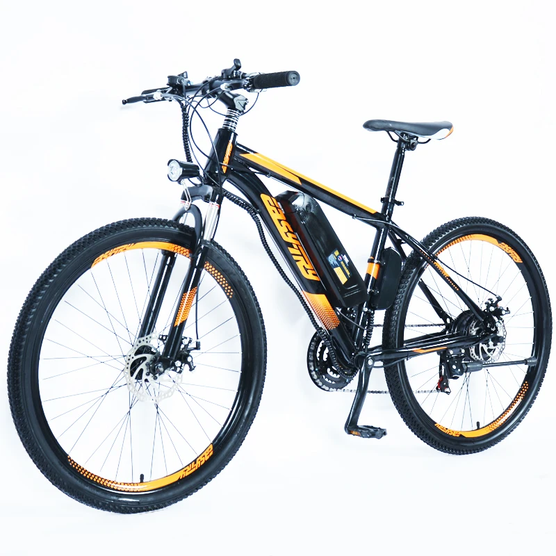 

Customized 10Ah Electric Mountain Bike with 36V/48V 250W/350W/500W Power Supply Lithium Battery Down Tube