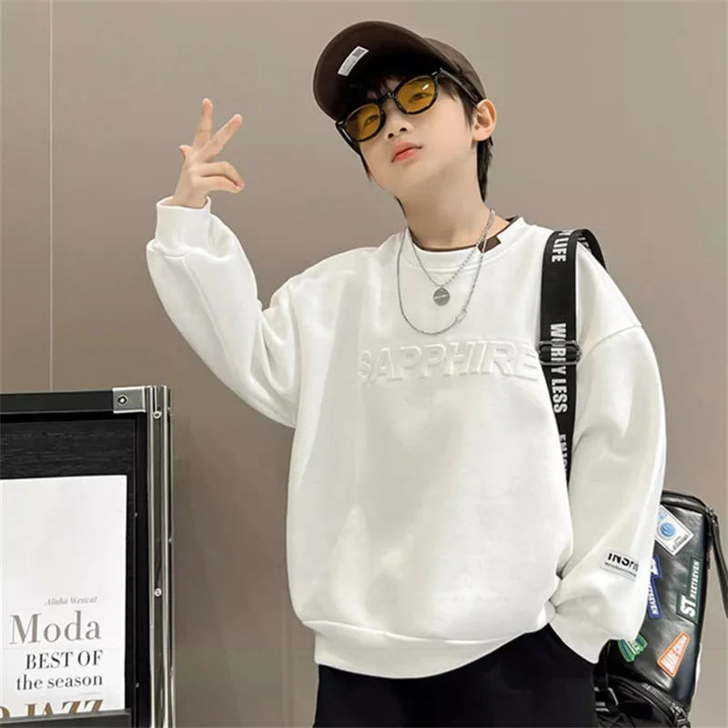 Boys Hoodies Sweatshirts Cotton Tops Outwear 2024 Elegant Spring Autumn Kids Christmas Gift Teenagers Children's Clothing