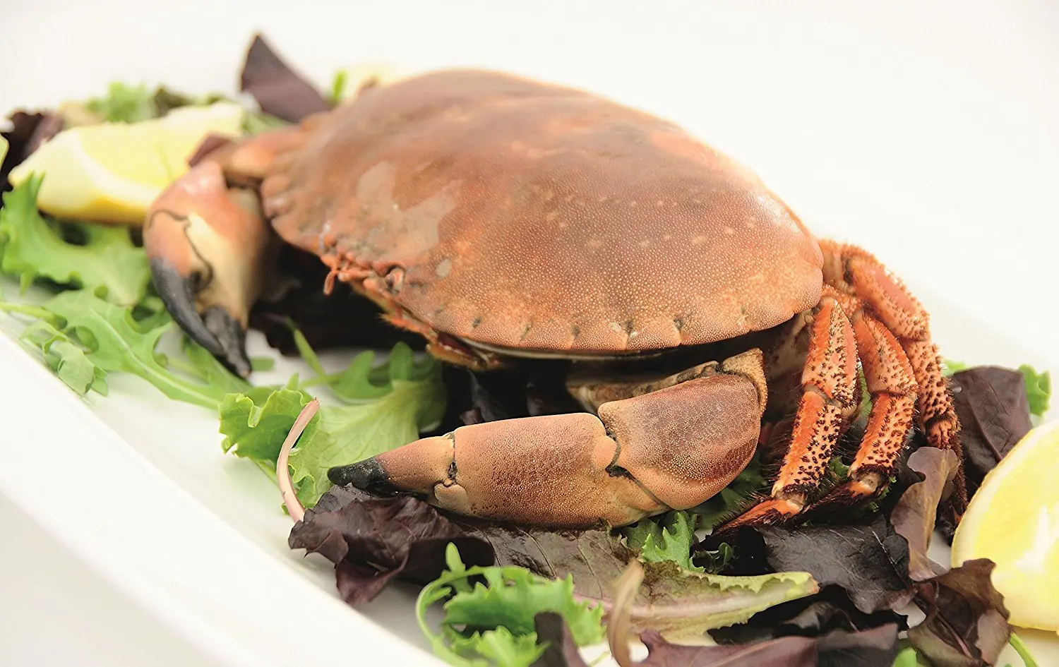 

6pcs Seafood Tool Set Crab Cracker Nutcracker Kit Stainless Steel Lobster Opener Shellfish Picks For Nuts Shells Kitchen Bar