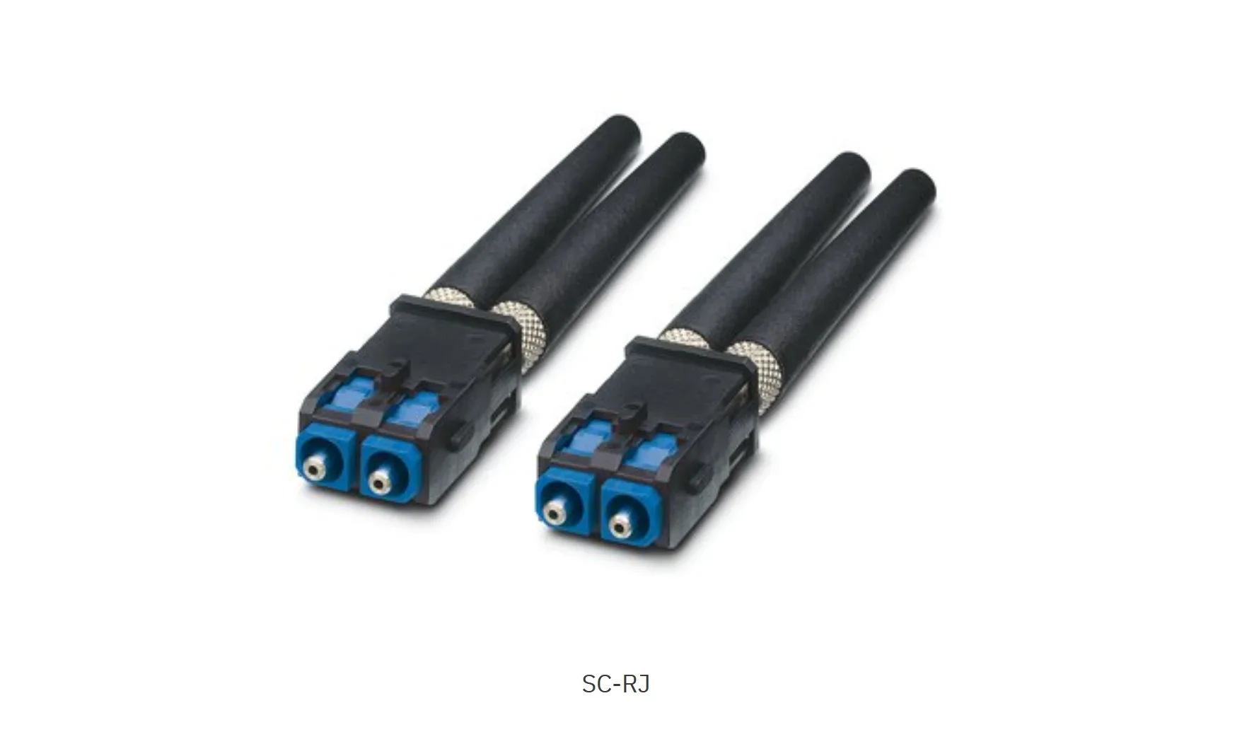 2025 PhoenixPSM-SET-SCRJ-DUP/2-POF - FO 2708656