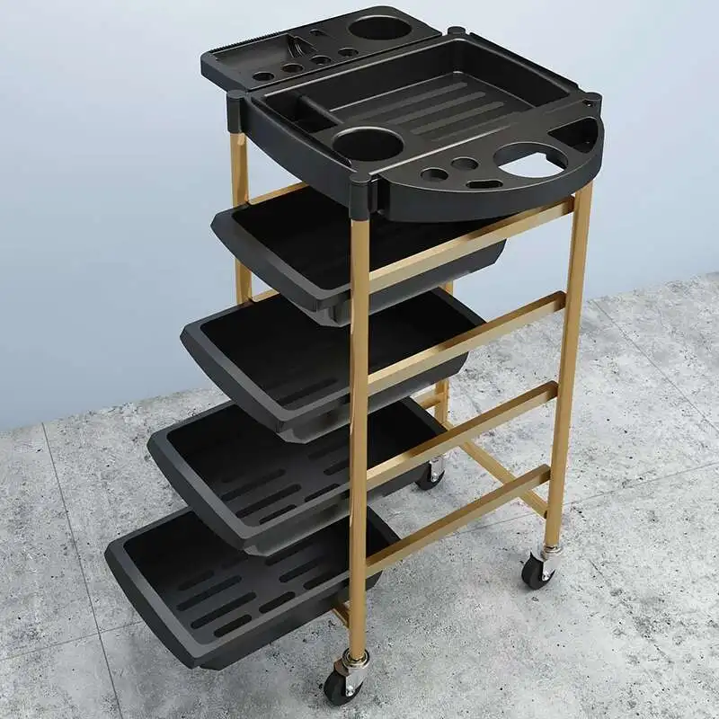 

Hairdresser Beauty Salon Trolley Rolling Cosmetic Barber Spa Tattoo Salon Trolleyhair Wozek Narzedziowy Beauty Furniture WKST