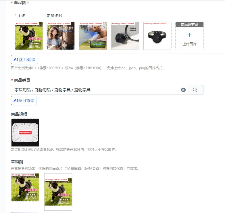 4G remote real-time cat, dog and pet first view camera neck recorder monitoring live broadcast smart strap
