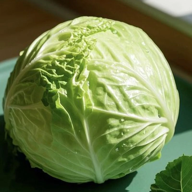 Commercial Large Diameter Vegetable Cutter Fully Automatic Cabbage Shredder