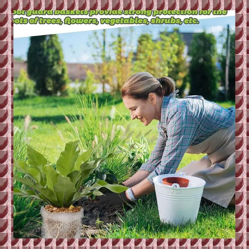 A95G 16 Packs 1 Gallon Root Stainless Steel Guard Baskets For Protects Plant Root From Gophers Moles Voles Damage Root