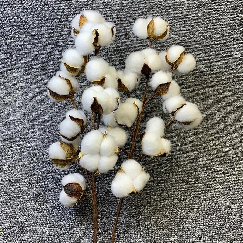 Artificial Dried Cotton Flowers White Flower Branch For Wedding Party Decoration Fake Flower Home Flower Decor Eucalyptus Leaves