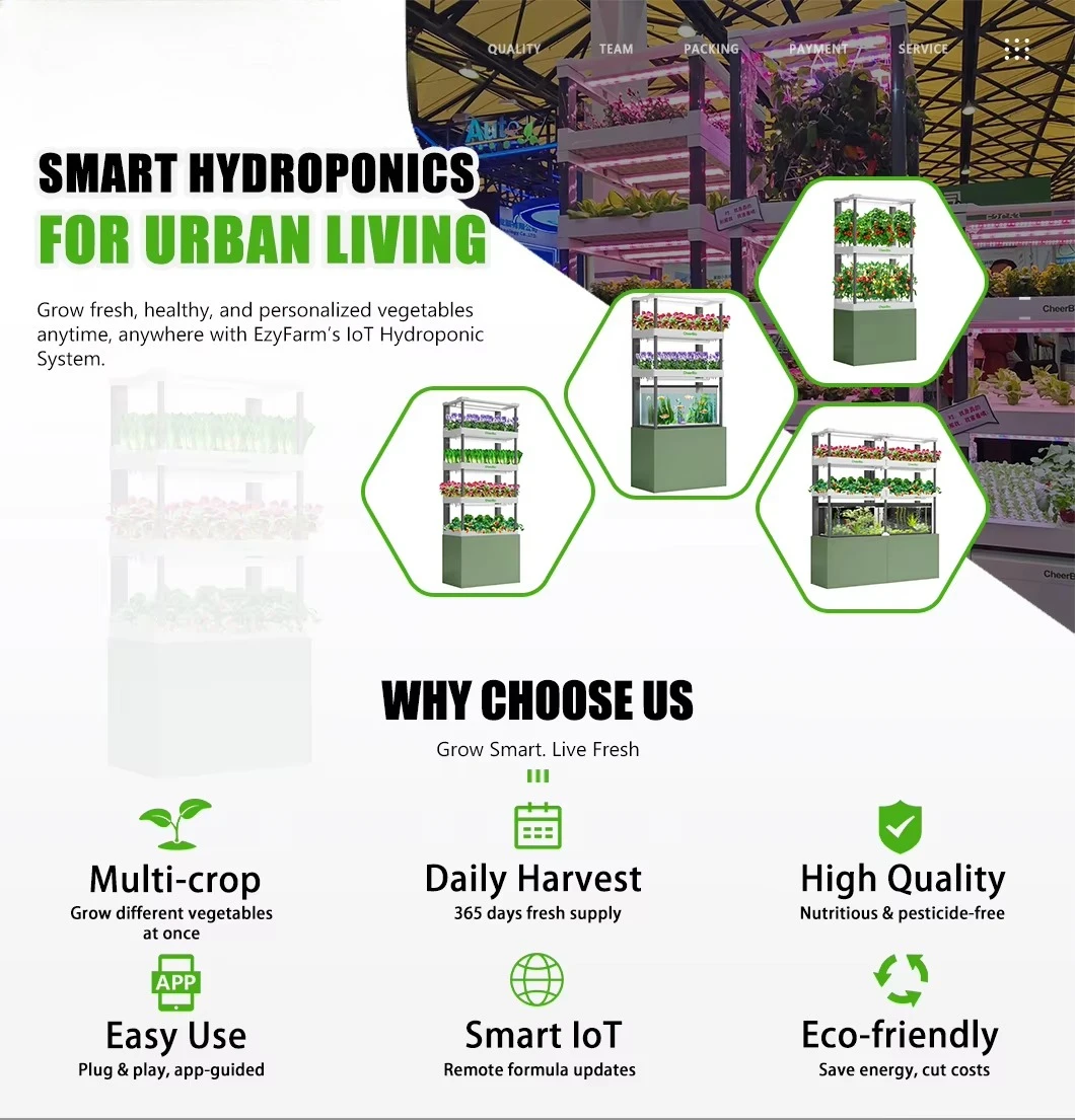 مجموعة التوصيل والتشغيل المائية للمبتدئين الذكية الصغيرة للمزرعة #3