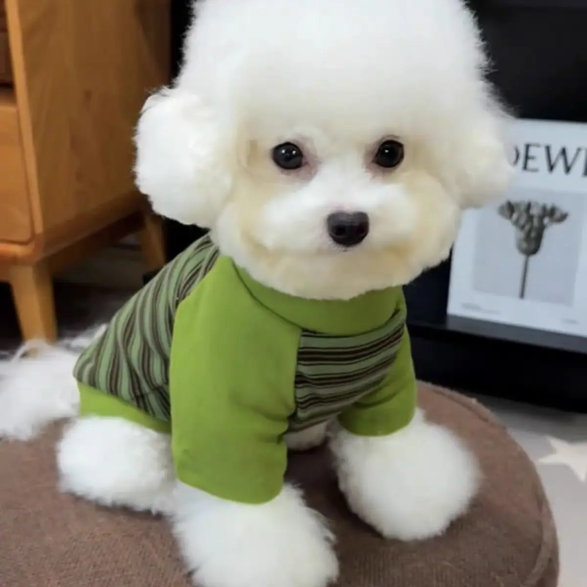 Striped Dog & Cat Clothes, Versatile Pet Base Layer Shirt for Small & Large Dogs, Poodle & French Bulldog