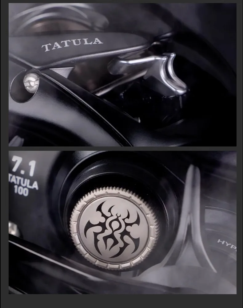 2024 NEUE DAIWA TATULA TW100 Angelrolle Baitcast-Rolle 7+1BB Drag 5KG TW 100 – Detail 9