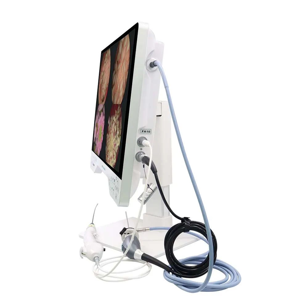 4K Dual Coaxial Endoscopy Camera System with 24