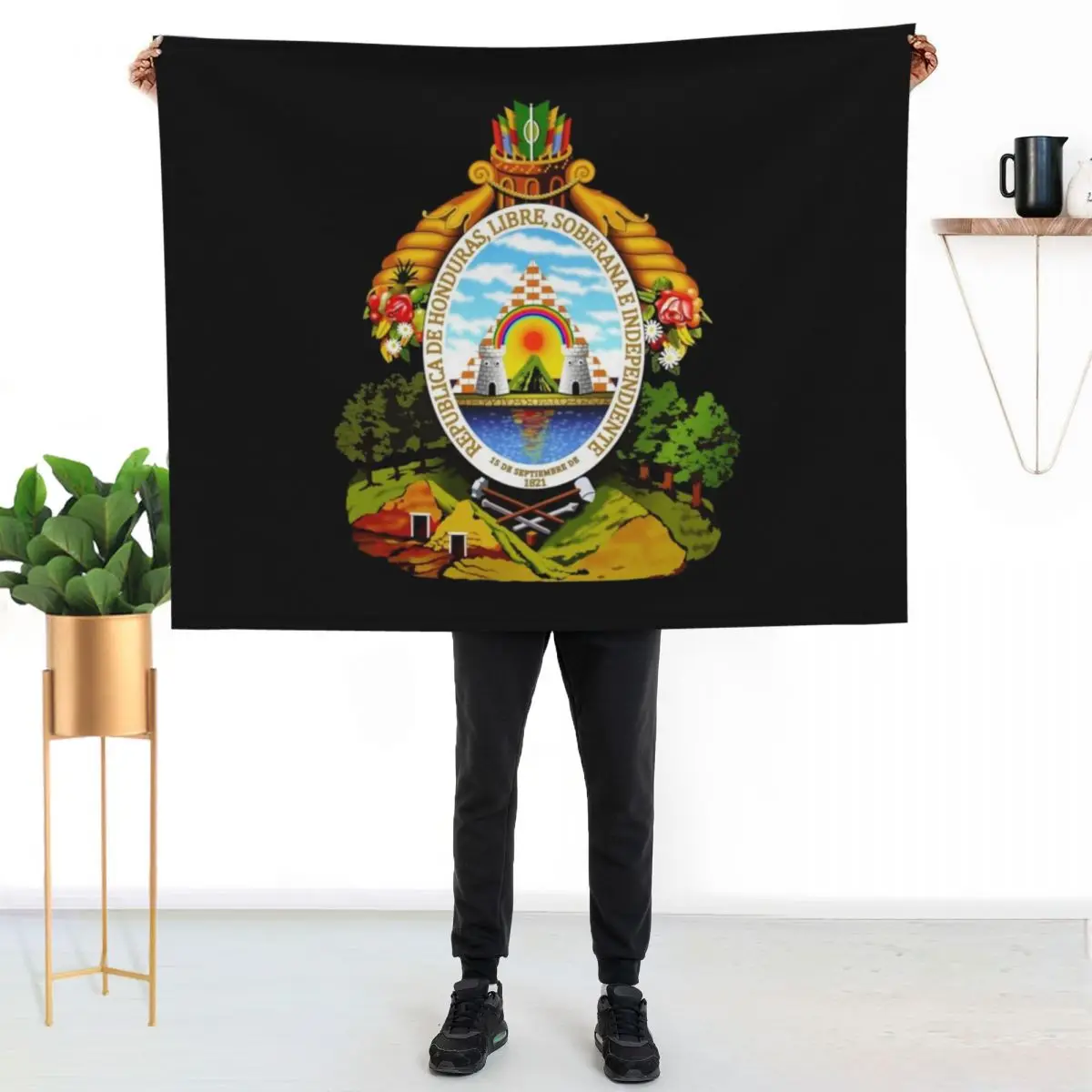 Coat of arms of Honduras Throw Blanket Lightweight Cozy Blanket for Bed Sofa