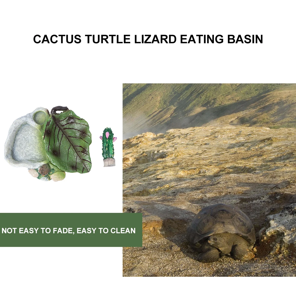 

1Pcs Reptile Drinking Dish Crawler Bowl Scratch-Proof Material Ideal for Turtle Lizard Small Pets Includes Fresh Food Feeding