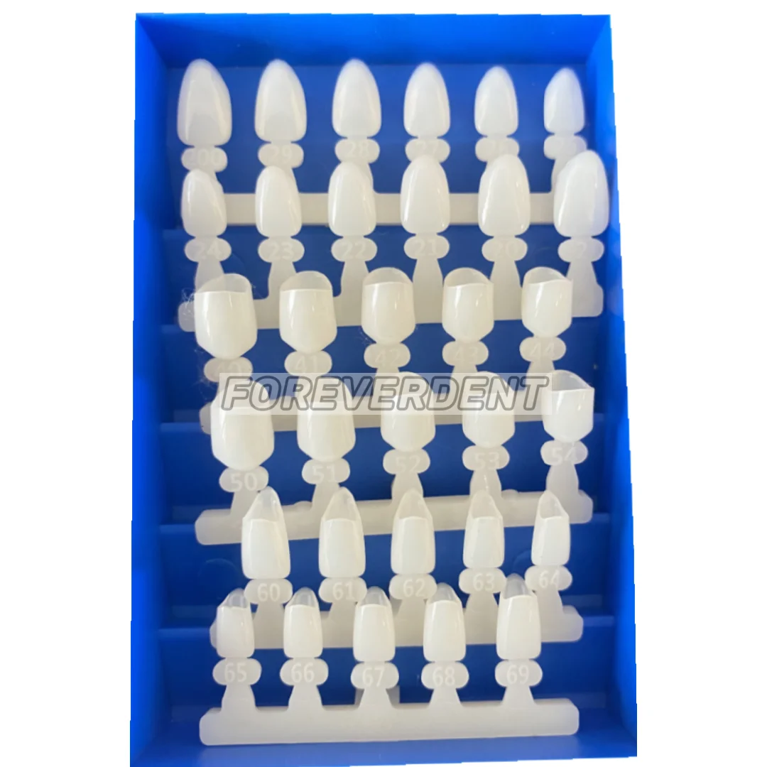 390Pcs Temporary Dental Crowns Crown Mold Guides Premolar Molars Anterior 66Sizes