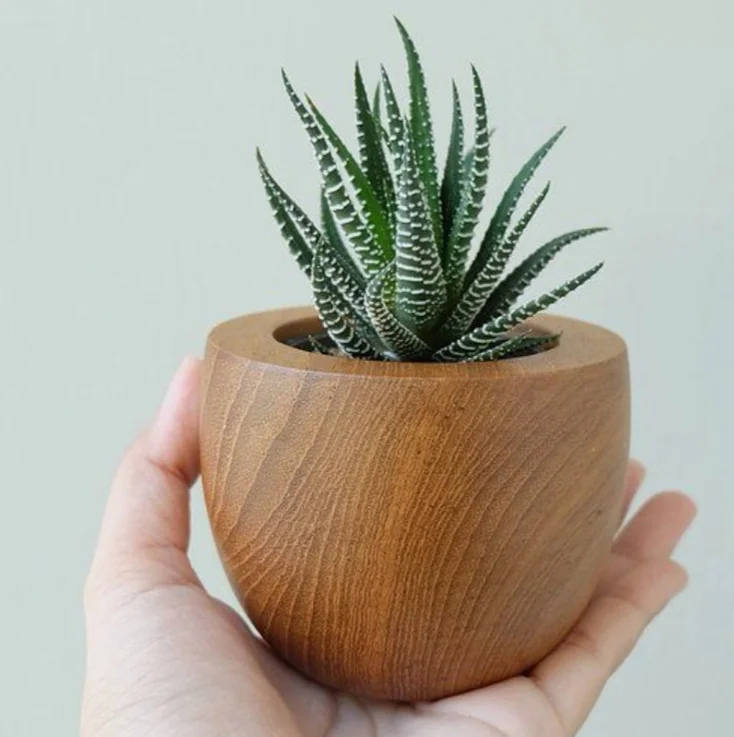 Succulent Plant Pots for Home Decor Creative Garden Planters  Indoor Outdoor Flower Containers  Shop Window Display Ornaments