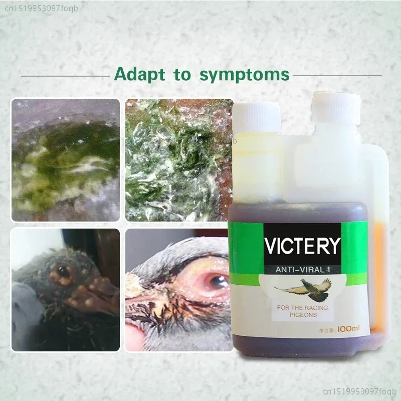 

100ml Pigeons Antiviral for Newcastle Disease (NDV), Avian Adenovirus & Respiratory Infections