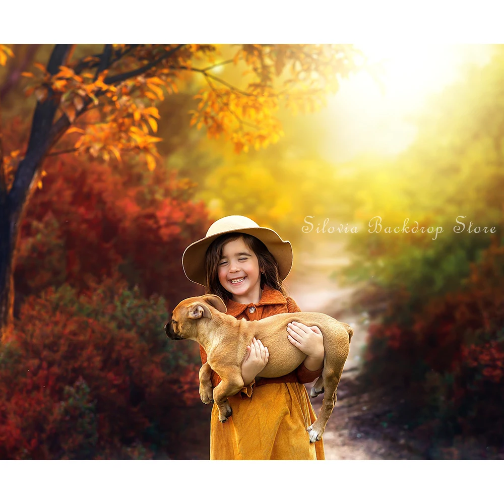 Latar belakang foto hutan musim gugur, properti Studio foto Jalur malam impian, potret kue anak-anak dengan latar belakang fotografi musim gugur