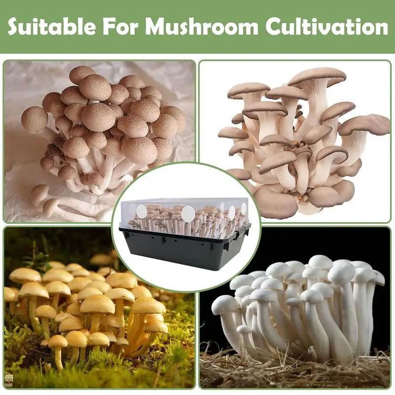 مرشحات Monotub الفطر تزايد وسادة مرشح استبدال تنوعا كفاءة لوازم زراعة الفطر للبالغين